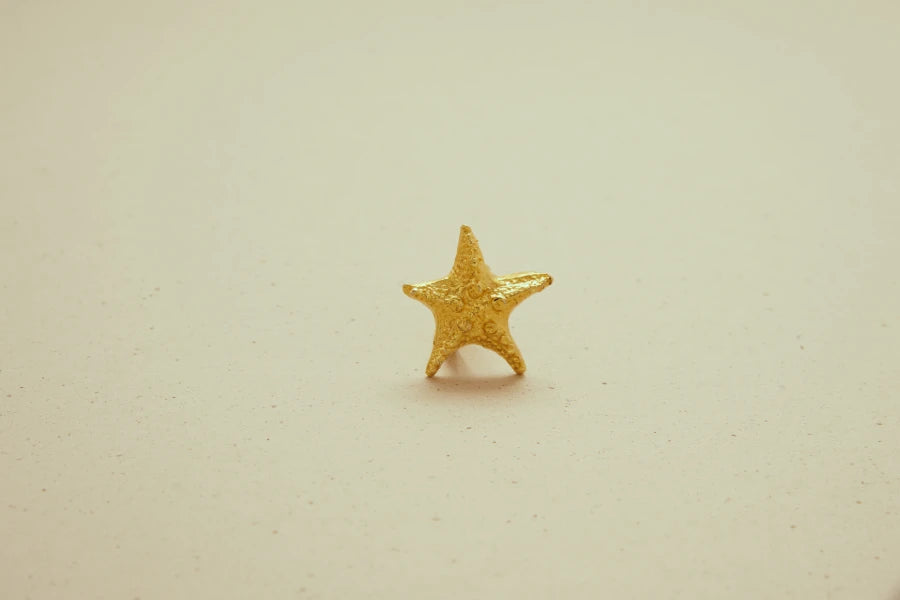 Anillo Estrella Mar