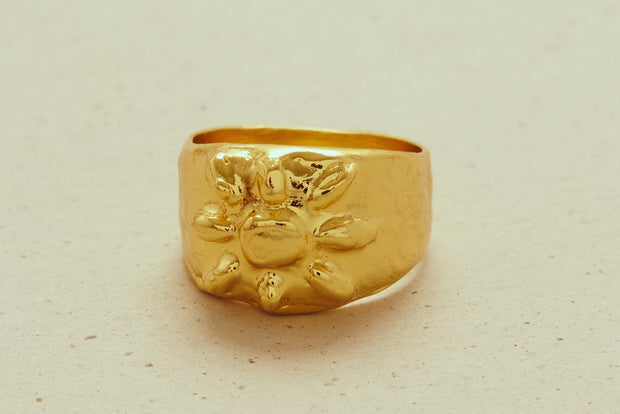 Anillo Sunny