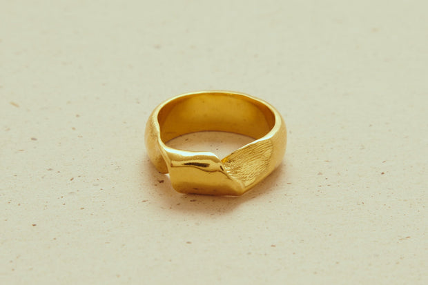 Anillo Wave