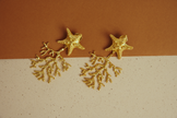 Aretes Estrella Coral