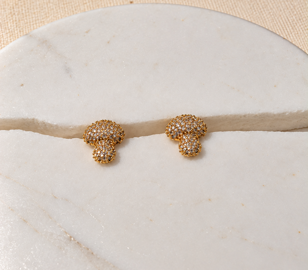 Aretes Topo Hongo