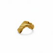 Anillo Surf