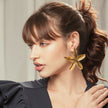 Aretes Clown